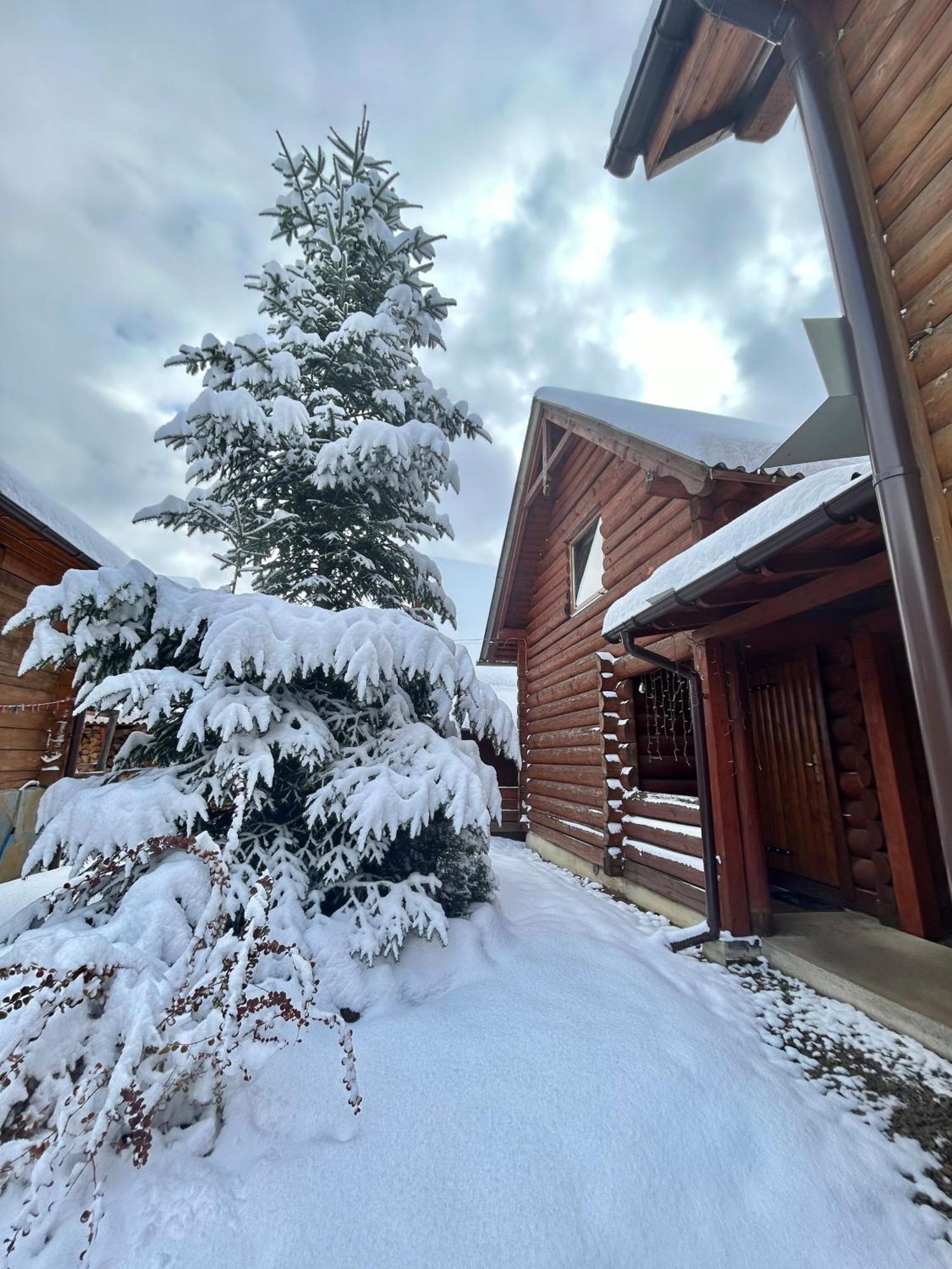 Guest House Kaspiy 부코벨 외부 사진